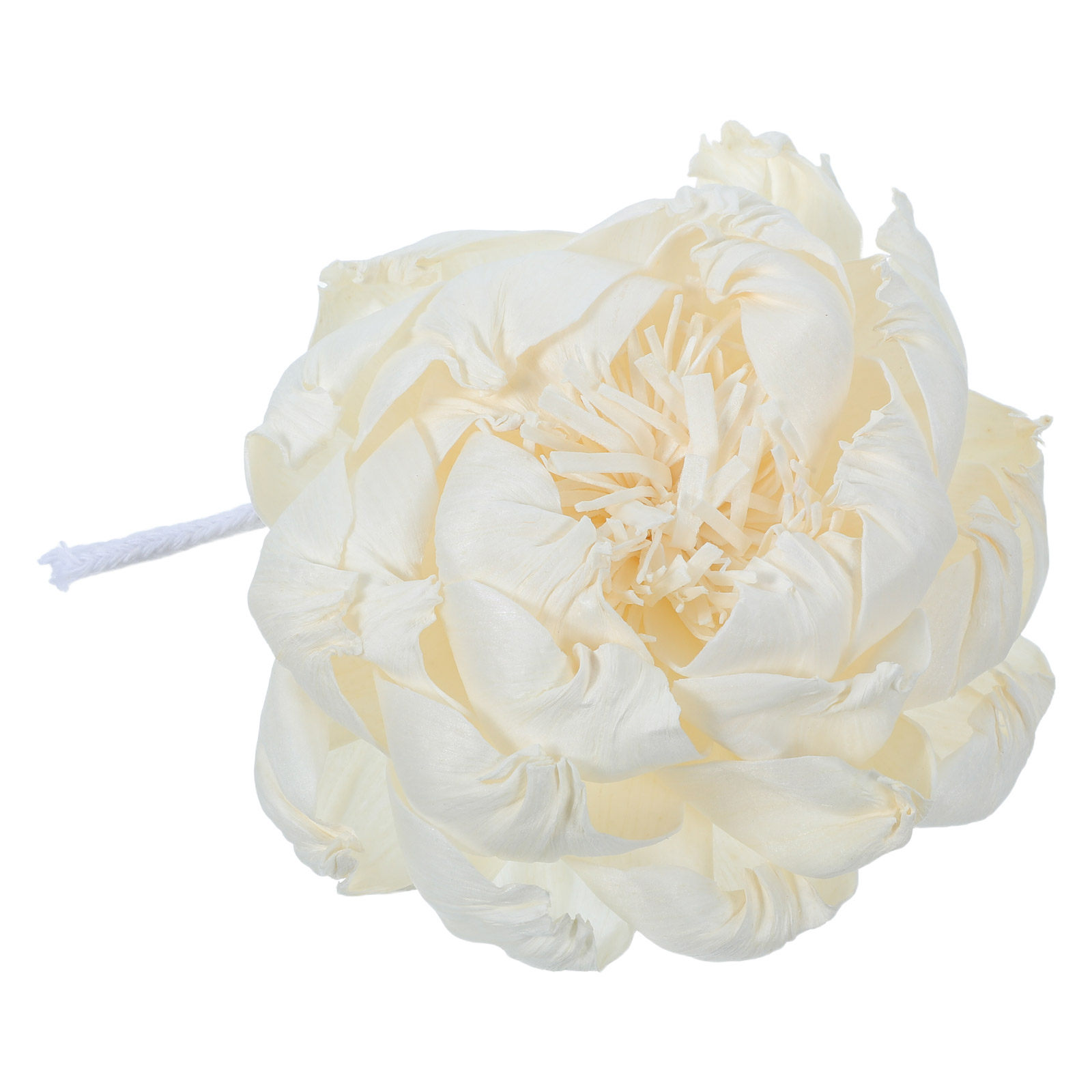 Şakayık Başlı Koku Difüzörü 12 - Home Fragrance Diffuser Oil incelemesi ve fiyatı