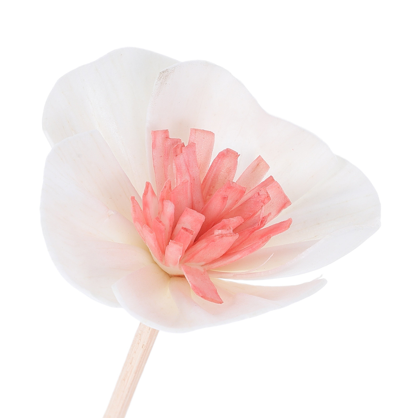 10 Adet Siyah Esans Yağı Difüz - Home Fragrance Diffuser Oil incelemesi ve fiyatı